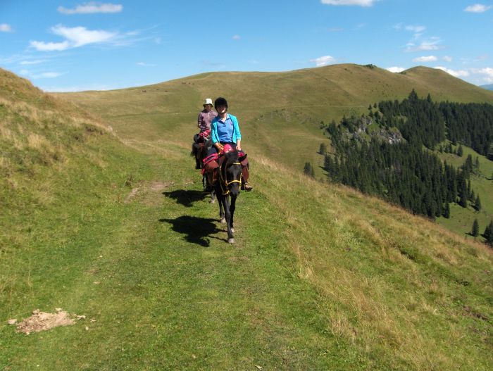 Transylvania Trail with comfort
