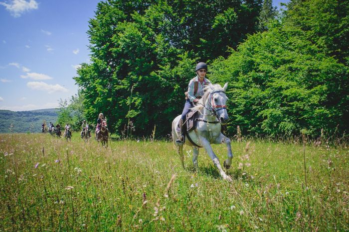 Transylvania Trail with comfort