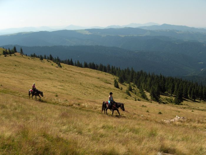 Transylvania Trail with comfort