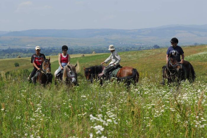 Transylvania Trail with comfort