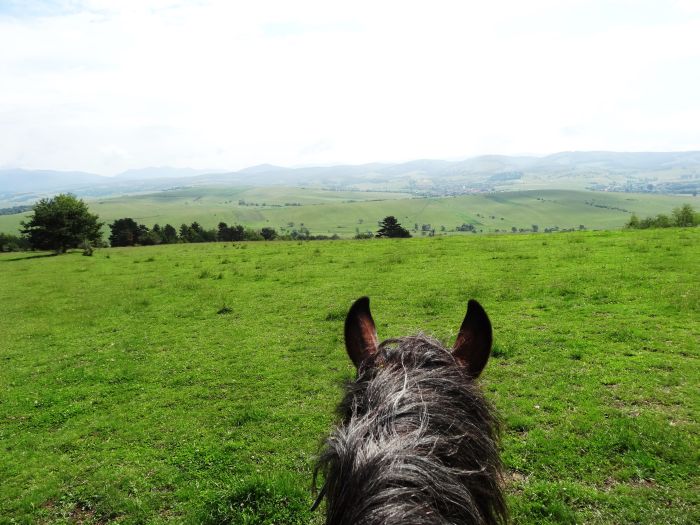 Transylvania Trail with comfort