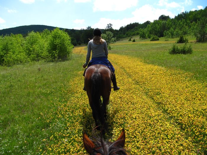 Plitvice Trail - Reittour durch das Land der fallenden Seen