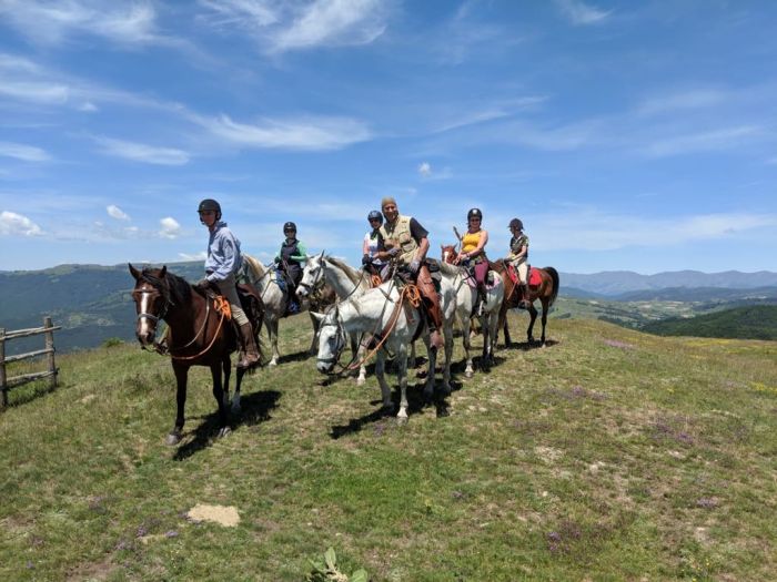 On the Trail of the Thracians