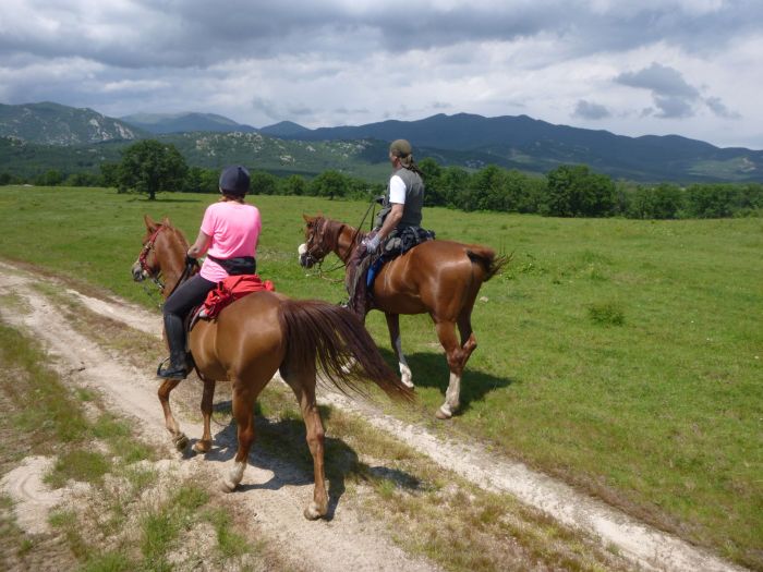 On the Trail of the Thracians