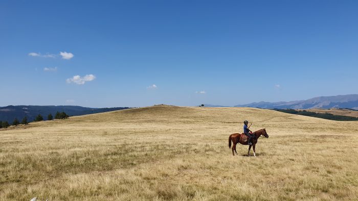On the Trail of the Thracians