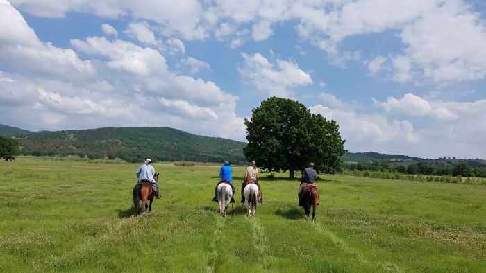 On the Trail of the Thracians