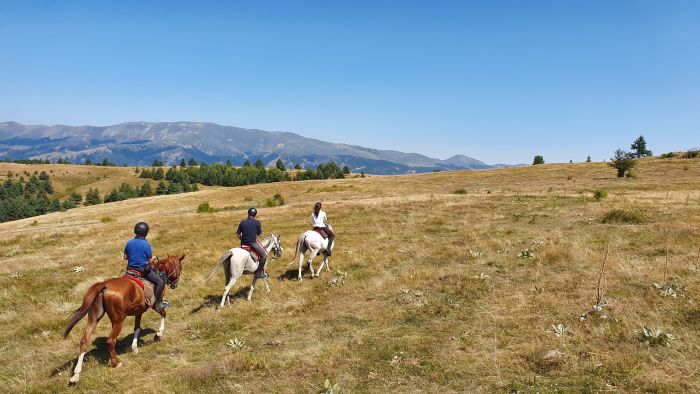 On the Trail of the Thracians