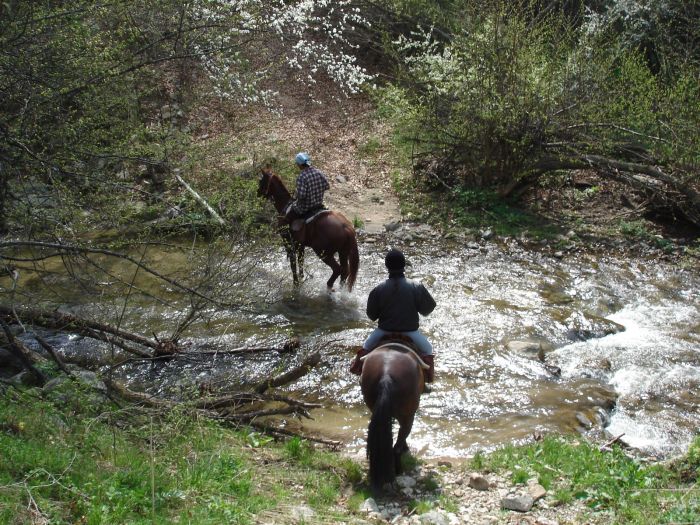 On the Trail of the Thracians