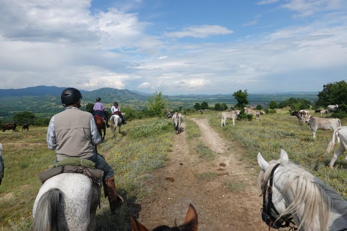 On the Trail of the Thracians