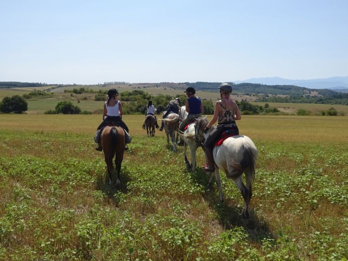 Devetaki Plateau at a gallop