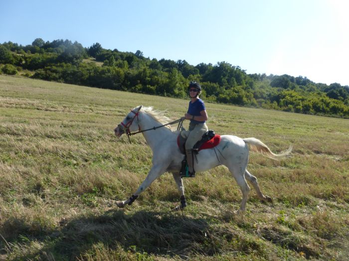 Devetaki Plateau at a gallop