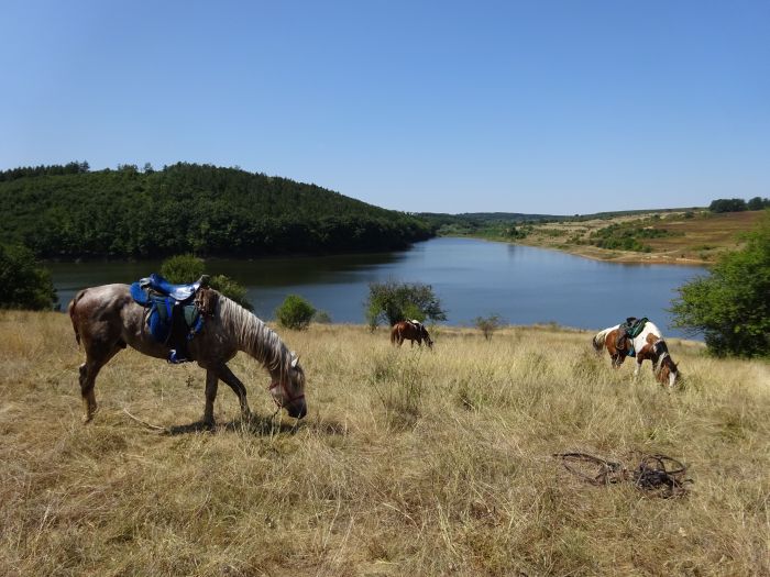 Devetaki Plateau at a gallop