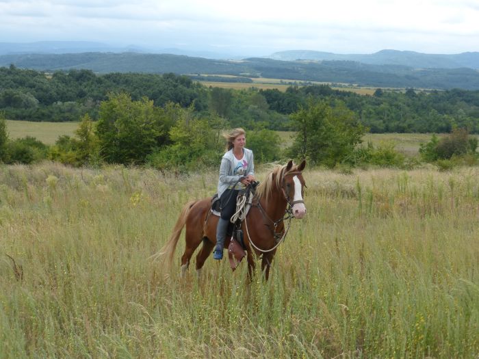 Devetaki Plateau at a gallop