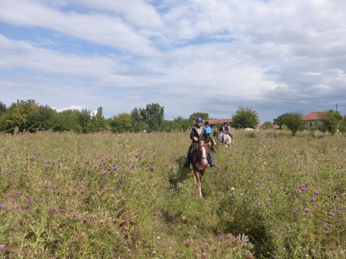 Devetaki Plateau at a gallop