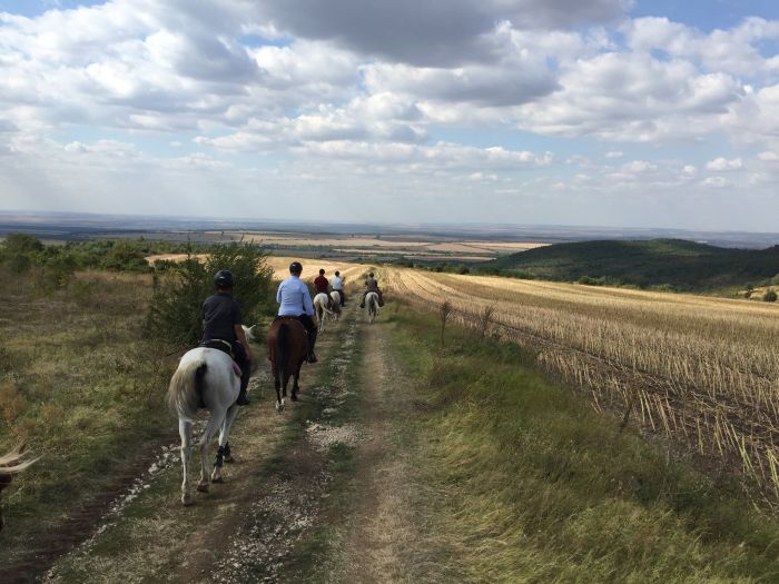 Devetaki Plateau at a gallop