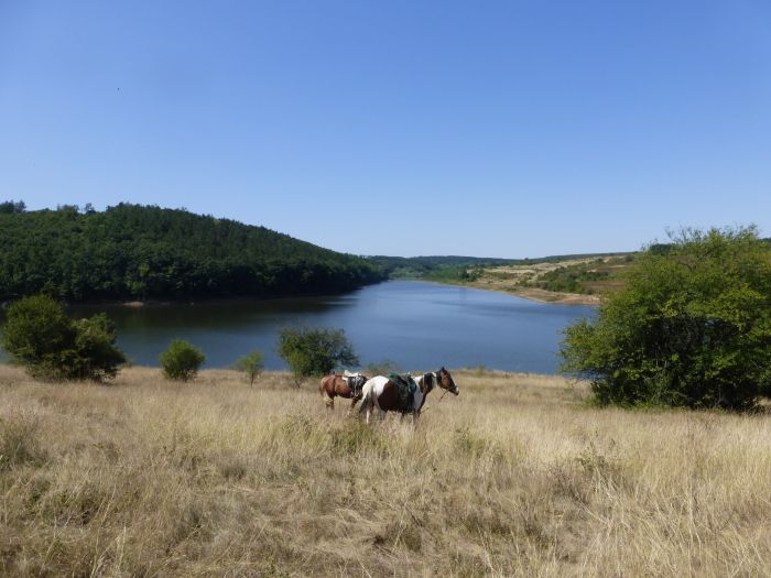 Devetaki Plateau at a gallop