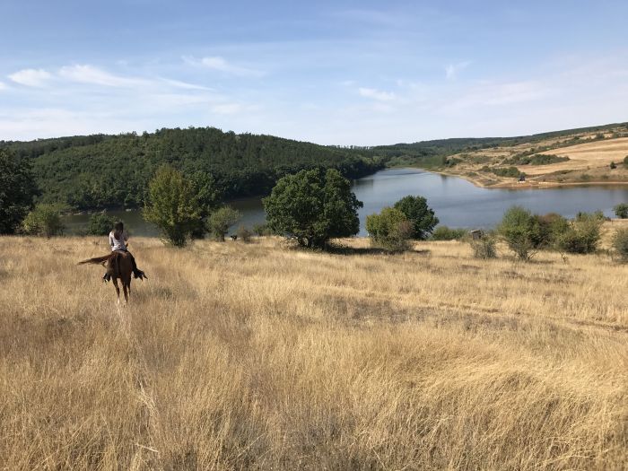 Devetaki Plateau at a gallop
