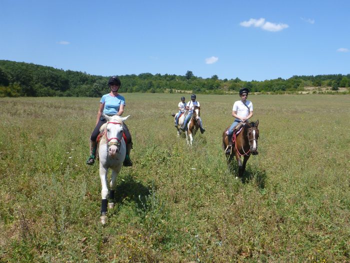 Devetaki Plateau at a gallop
