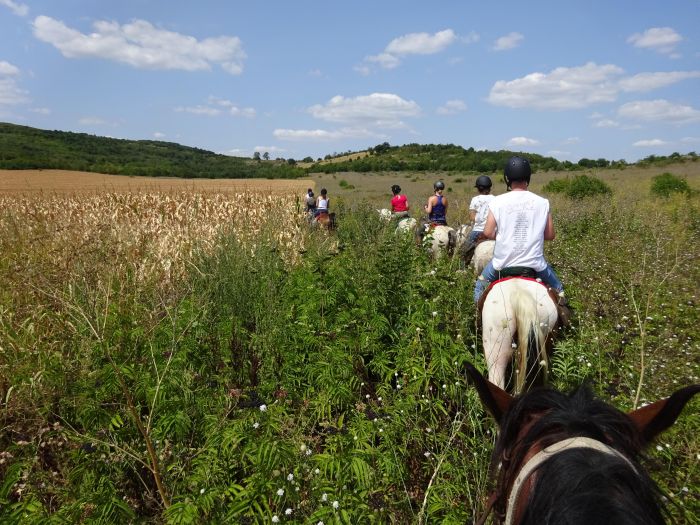 Devetaki Plateau at a gallop