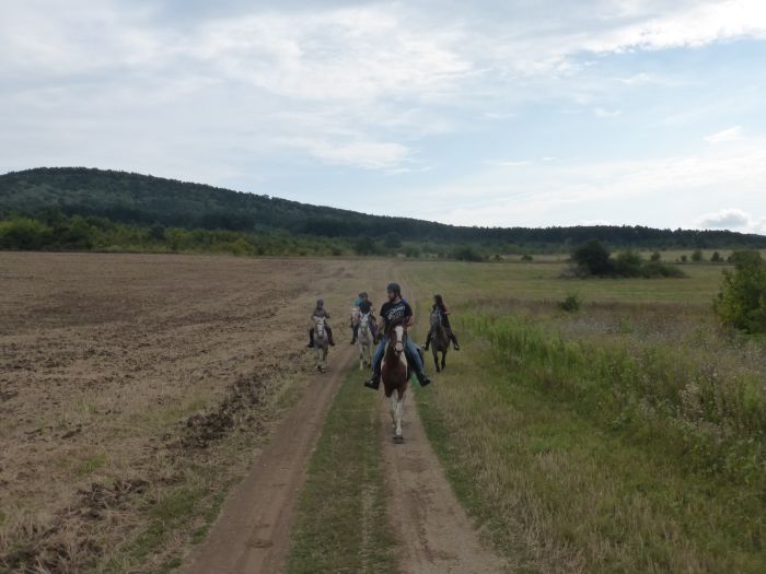 Devetaki Plateau at a gallop
