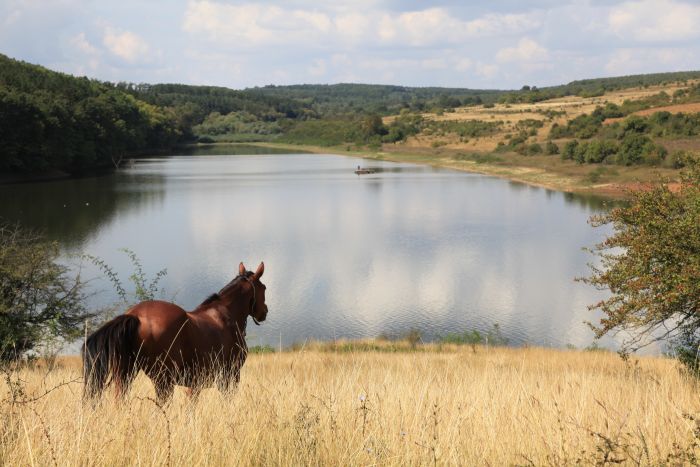 Devetaki Plateau at a gallop