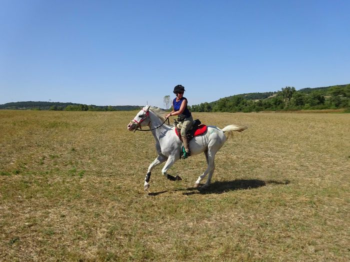 Devetaki Plateau at a gallop