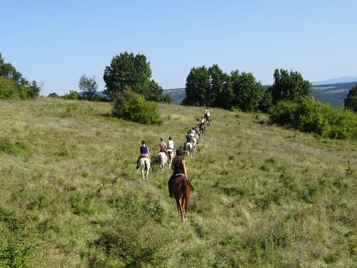 Devetaki Plateau at a gallop