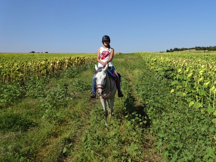 Devetaki Plateau at a gallop