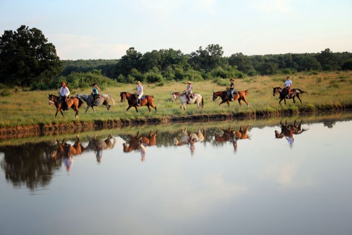 Devetaki Plateau at a gallop