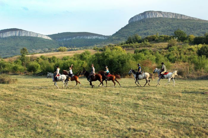 Devetaki Plateau at a gallop