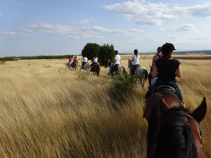 Devetaki Plateau at a gallop