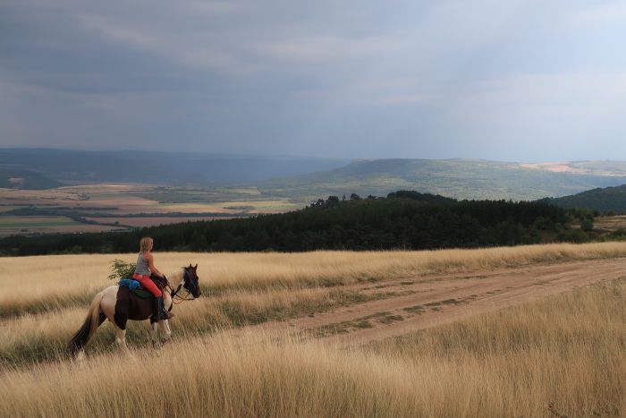 Devetaki Plateau at a gallop