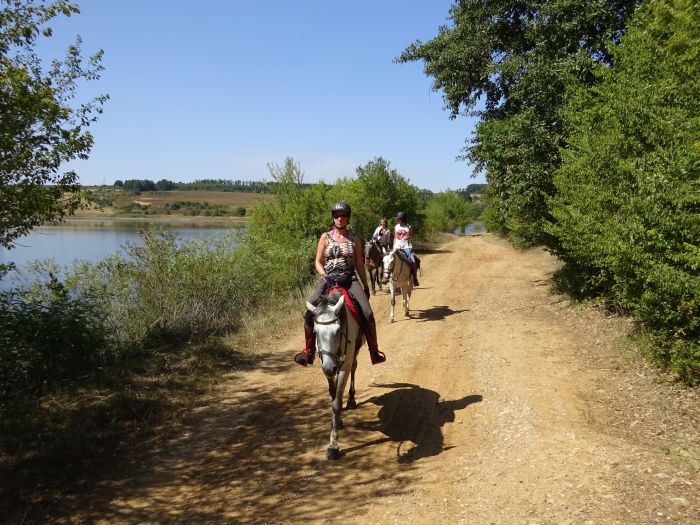 Devetaki Plateau at a gallop