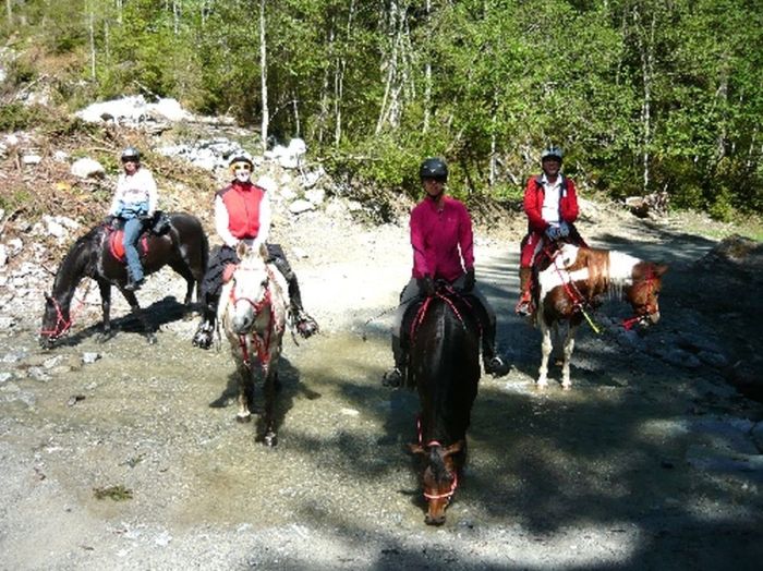 Endurance riding and riding lessons in Allgäu