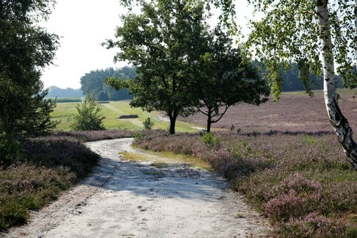 Horse riding and wellness in the heath landscape