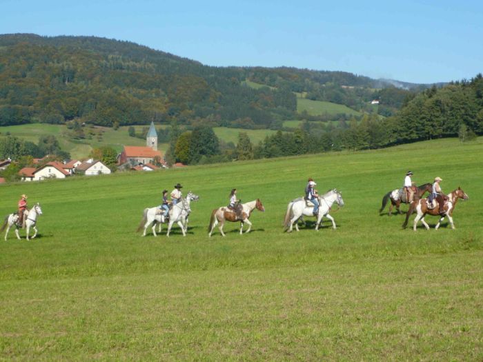 Western riding in the Bavarian Forest