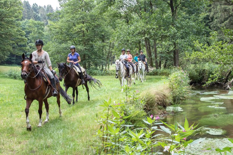 Western riding in the Bavarian Forest