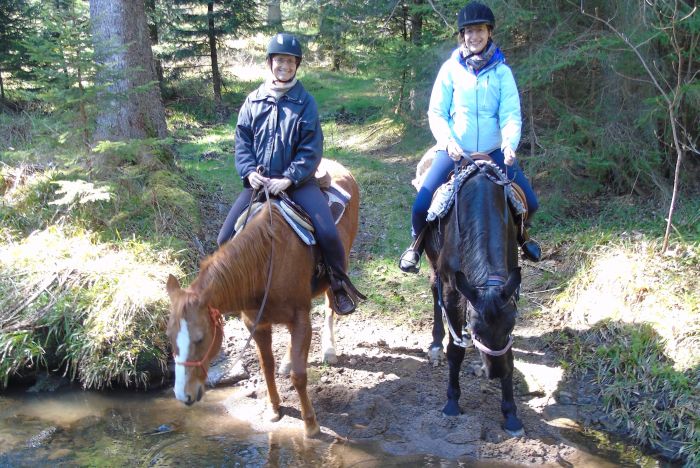 Family-run riding stable in the southern Black Forest