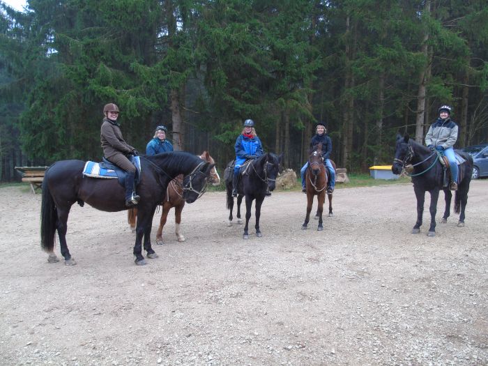 Family-run riding stable in the southern Black Forest