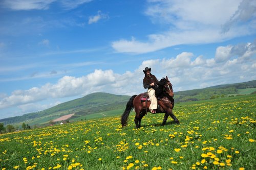 Western riding in the Rhoen