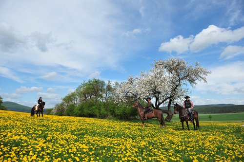 Western riding in the Rhoen