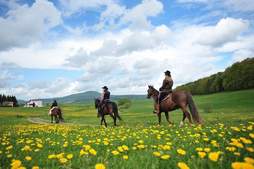 Western riding in the Rhoen