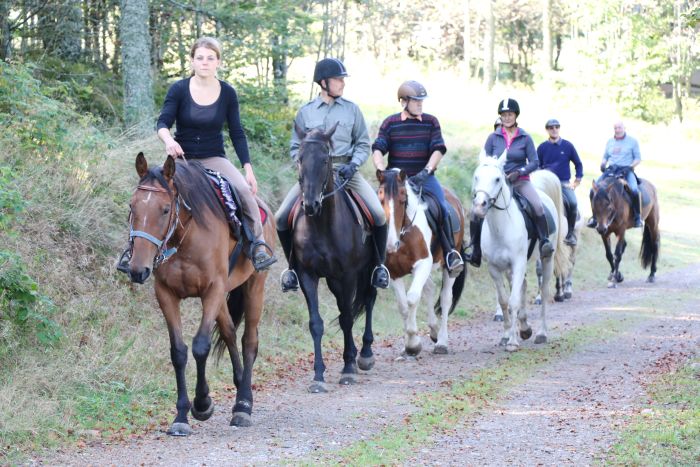 Riding holiday in the beautiful Alsace