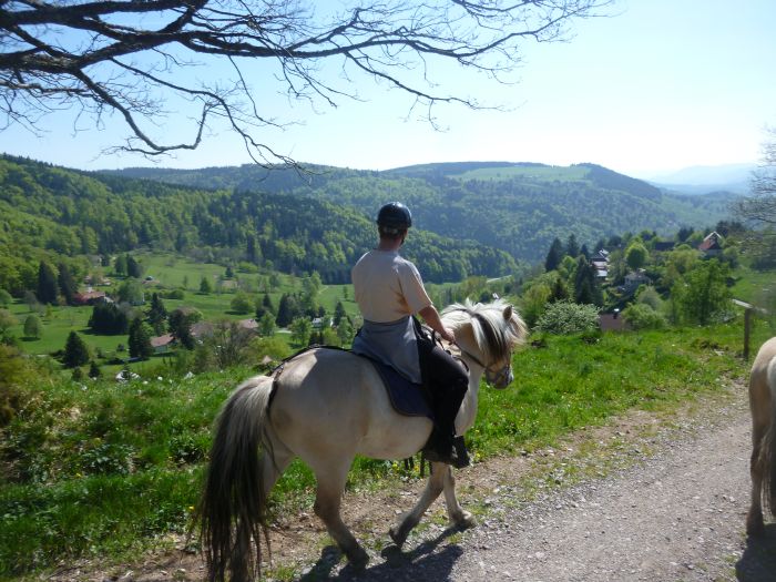 Riding holiday in the beautiful Alsace