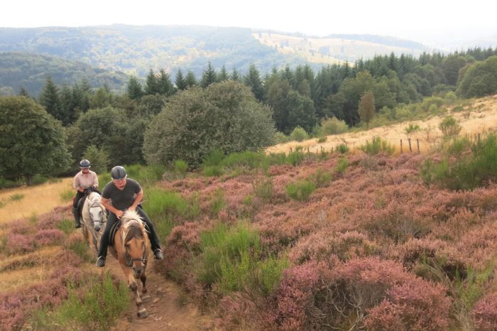 Riding holiday in the beautiful Alsace