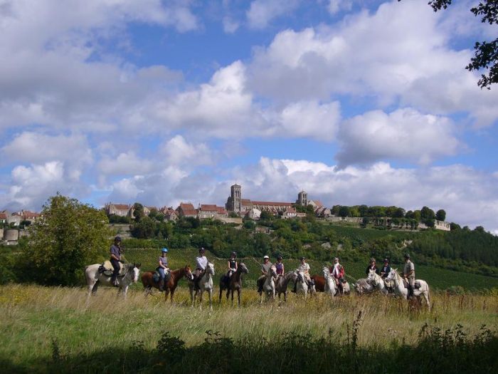 Alsace crossing at a gallop