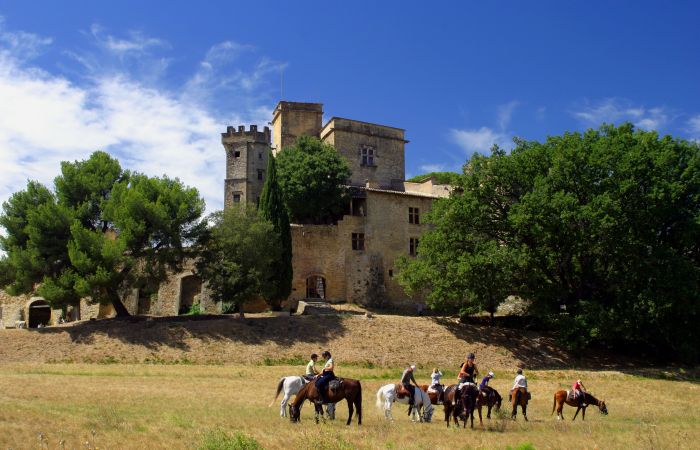 Provence & Camargue Rides