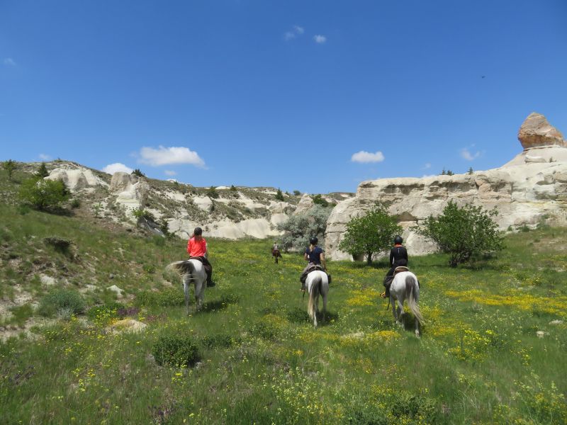 Cappadocia in galopp