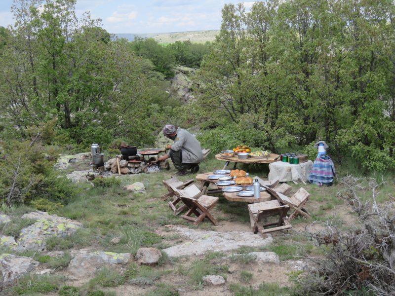 Cappadocia in galopp