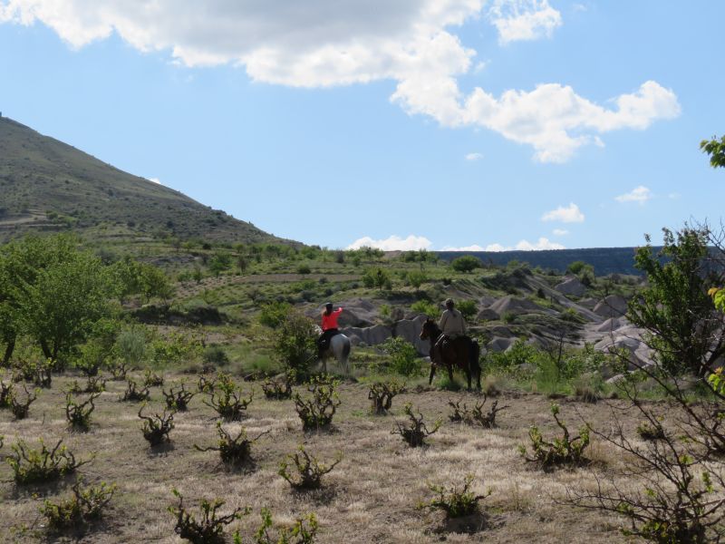 Cappadocia in galopp